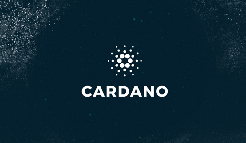 کاردانو (Cardano) چیست و چگونه کار می کند؟