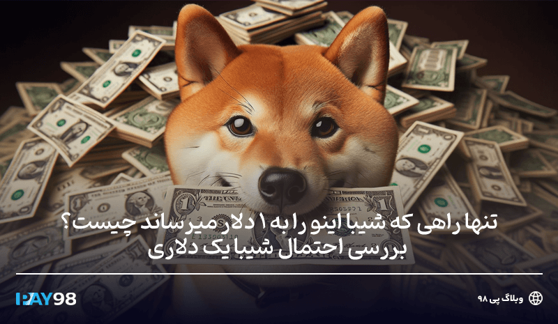 شیبا یک دلاری