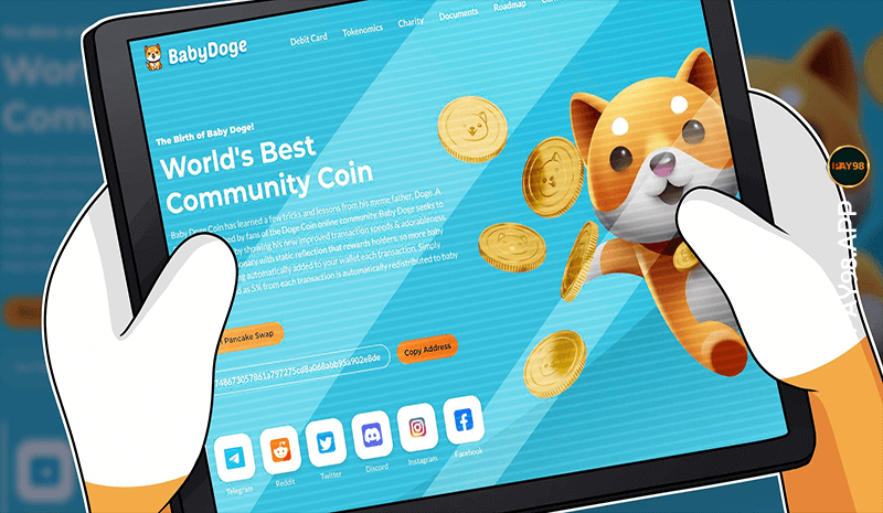 همکاری بیبی دوج با NowPayments | آیا BabyDoge پذیرش ارزهای دیجیتال را به جریان اصلی تبدیل می کند؟