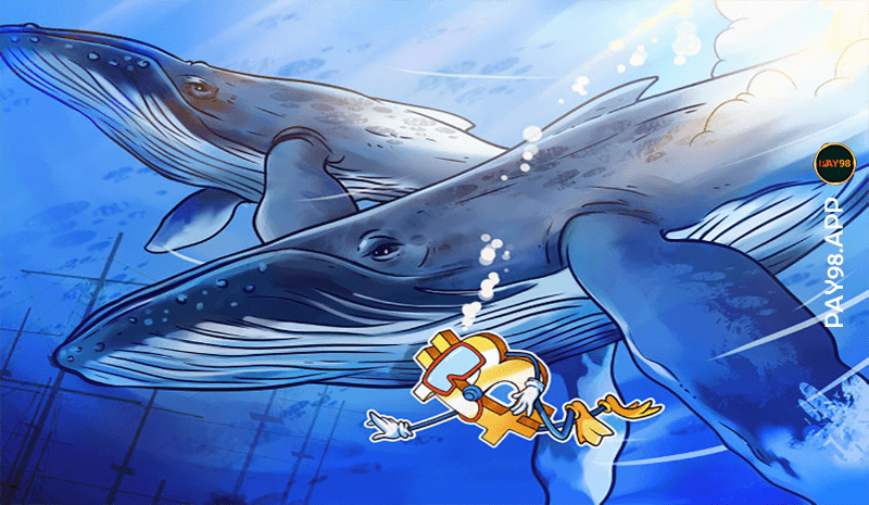 خرید بیت کوین توسط نهنگ ها | آیا اتریوم به 1900 دلار می رسد؟