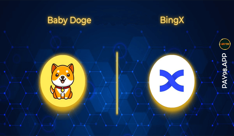 لیست شدن بیبی دوج در صرافی bingx