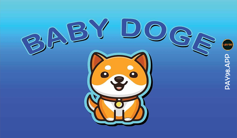 رونمایی از اولین بازی بیبی دوج | دستاورد بزرگ Babydoge در سال 2023