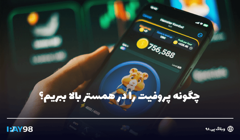 پروفیت در همستر