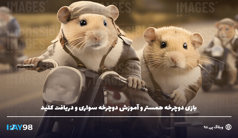 بازی دوچرخه همستر