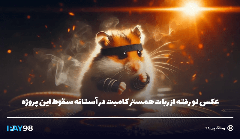 عکس لو رفته از همستر